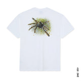 T-SHIRT POLAR SKATE GREEN SPIDER