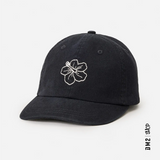 CASQUETTE FEMME MIXED 6 PANEL NOIR, RIP CURL