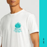 T-SHIRT HOMME RVCAGAVE BLANC, RVCA