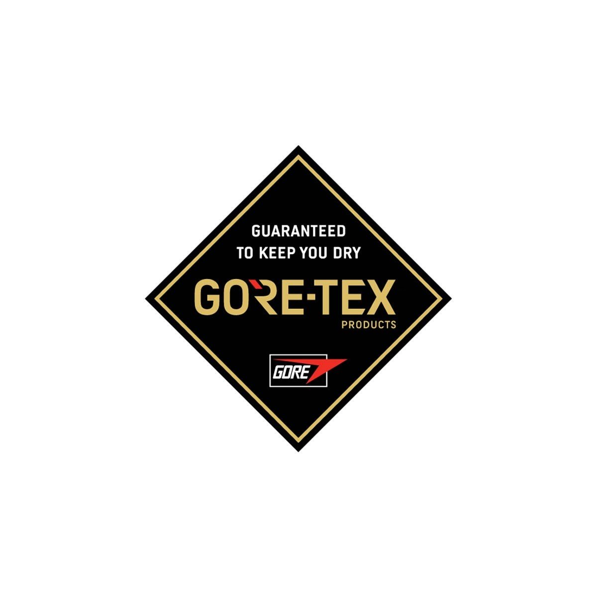 Dakine Man gloves Gore-Tex excursion (2 colors)