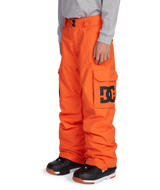DC SHOES JUNIOR BANSHEE INSULATED PANTS, 12 &amp; 16 Years